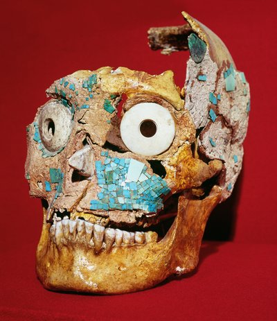 Schedel versierd met een mozaïek in turquoise en ivoor, Mixtec, uit Graf 7, Monte Alban, 1300-1450 door Pre Columbian